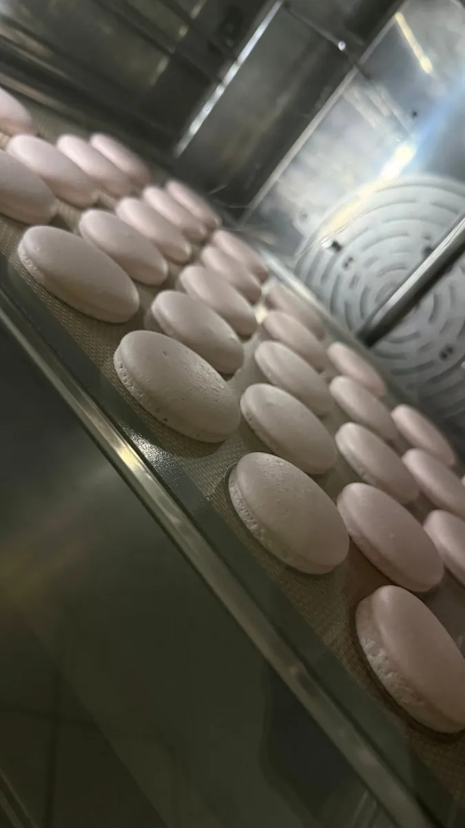 Tapas de macaron rosadas horneándose dentro de un horno con ventilador